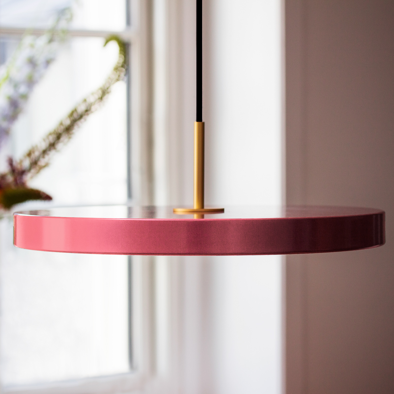 UMAGE LED pendant light Asteria Medium, rose/brass, Ø 43 cm